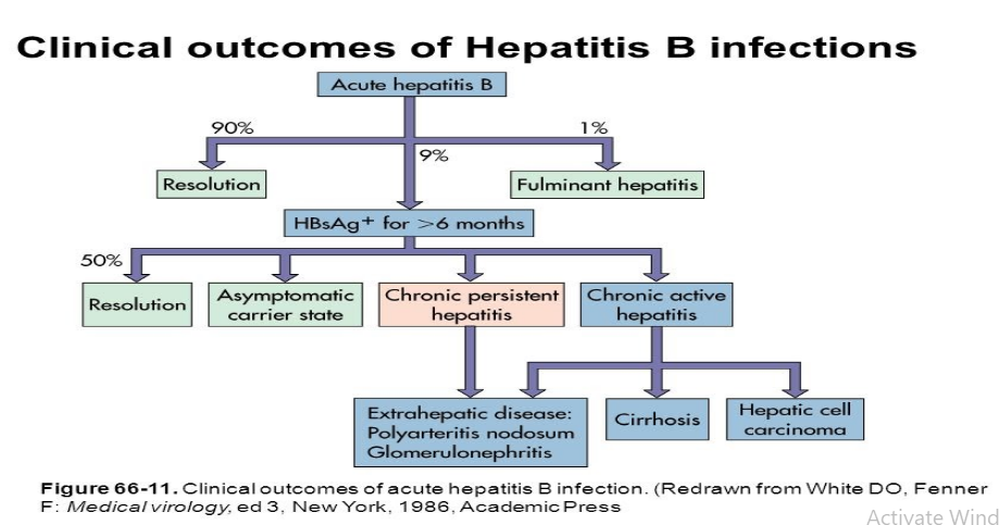VIRAL HEPATITIS-B IN PREGNANCY & (HDV)